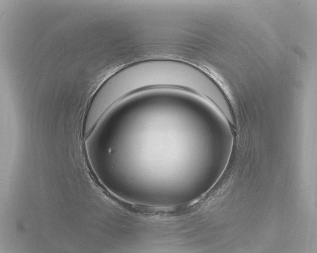 X0000116780385200912241146