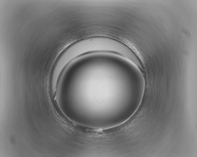 X0000116780386200912241146