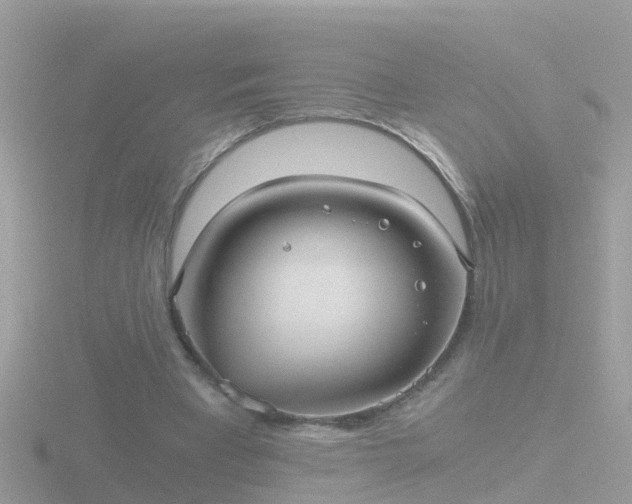 X0000116780393200912241146