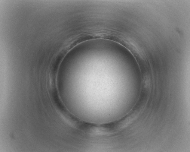 X0000116780408200912241146