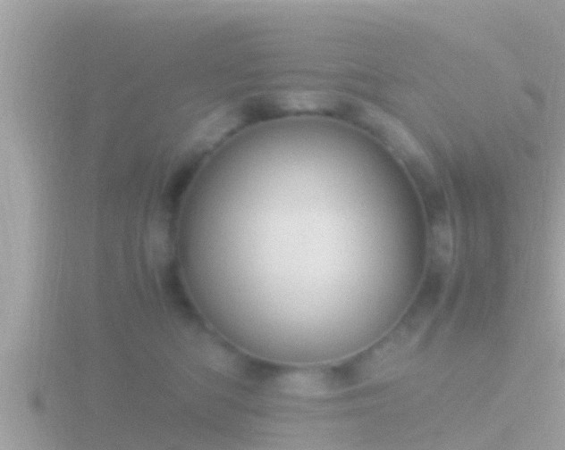 X0000116780422200912241146