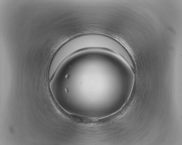 X0000116780433200912241145