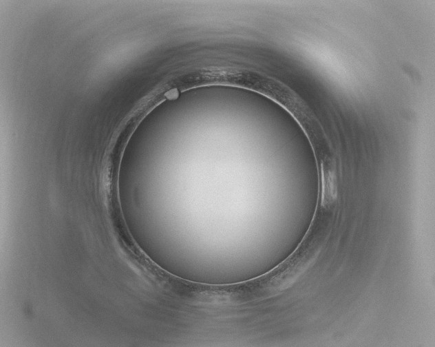 X0000116780435200912241145