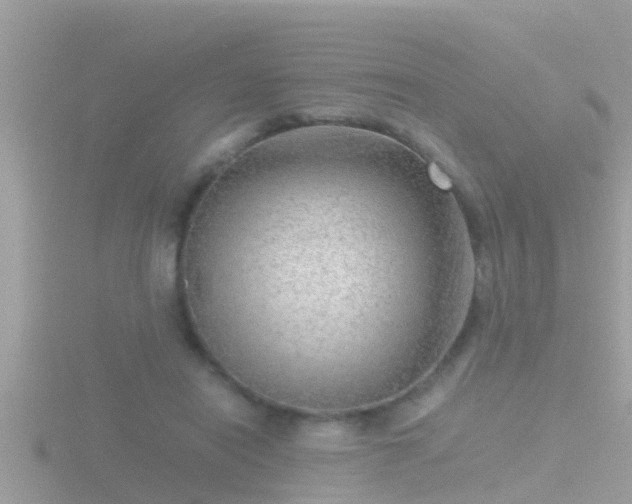 X0000116780454200912241145