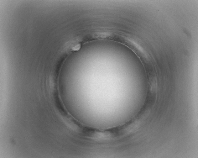 X0000116780455200912241145