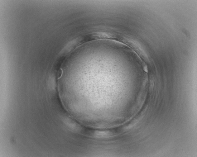 X0000116780457200912241145