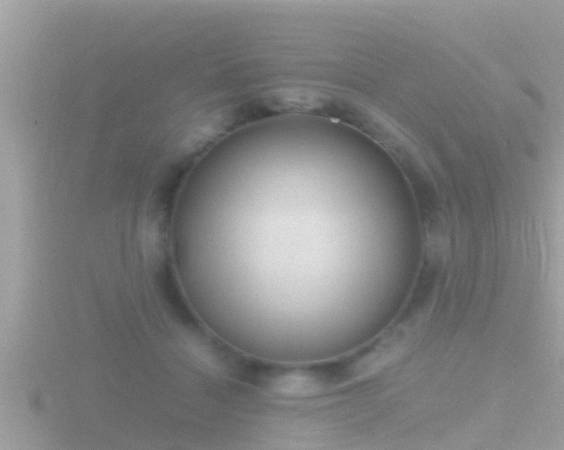 X0000116780460200912241146