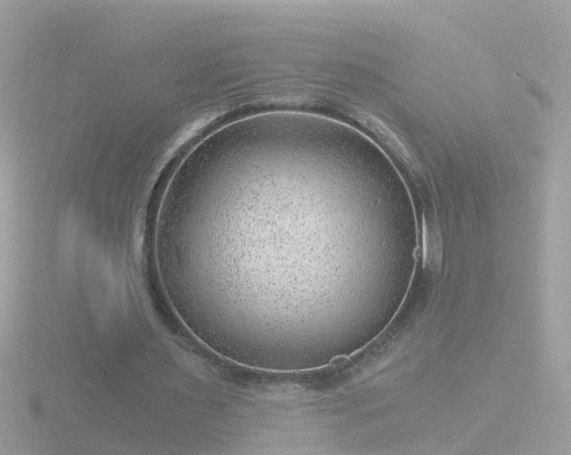 X0000116780483200912241145