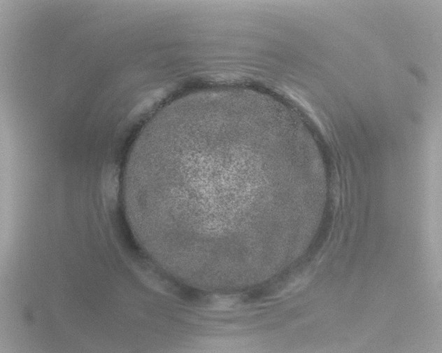 X0000116780495200912241145