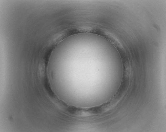 X0000116780498200912241145