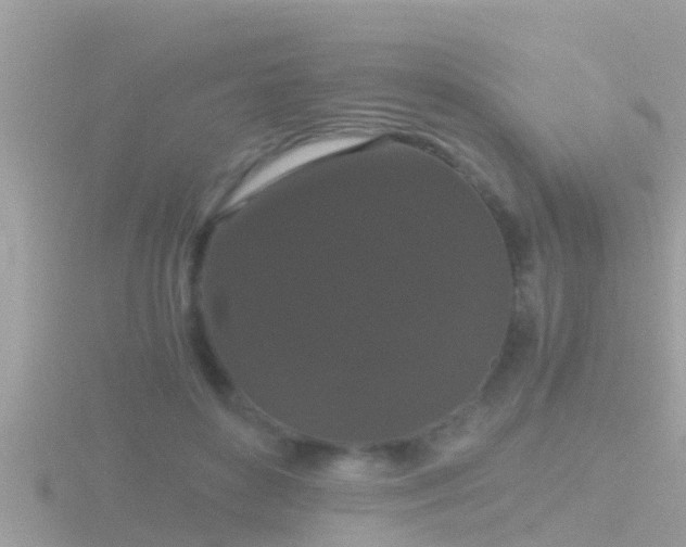 X0000116780504200912241145