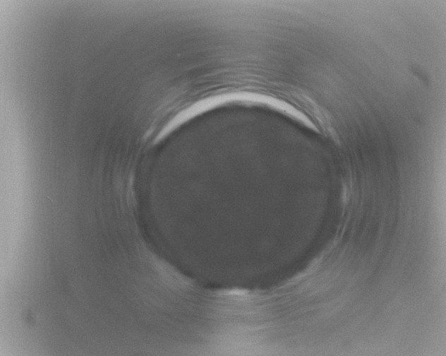 X0000116780524200912241145