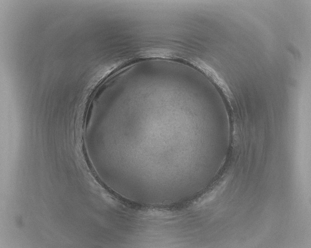 X0000116780529200912241144