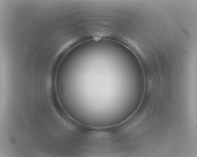 X0000116780539200912241144