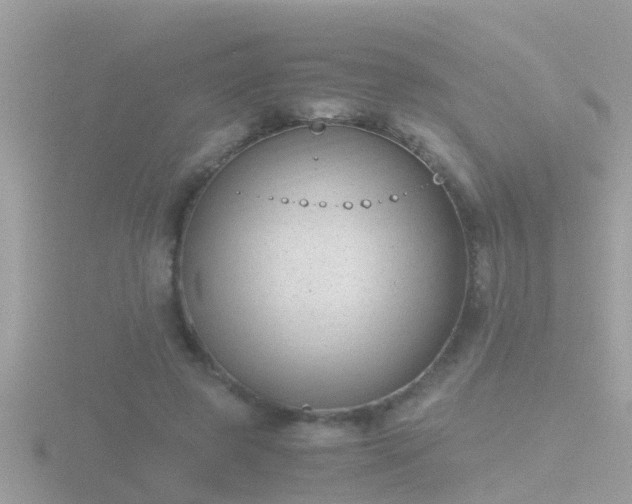 X0000116780545200912241144