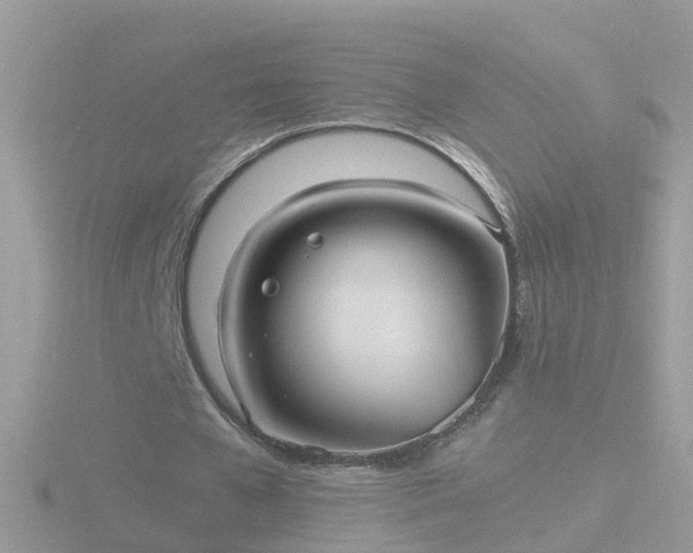 X0000116780577200912241144