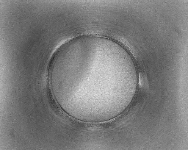 X0000116780579200912241144