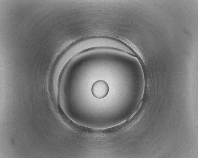 X0000116780581200912241144