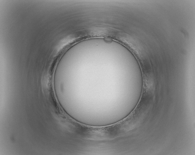 X0000116780583200912241144