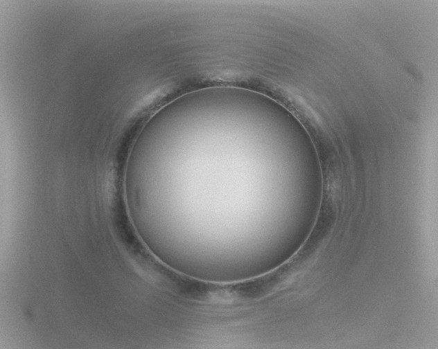 X0000116780591200912241144