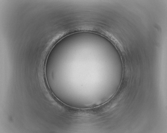 X0000116780625200912241143