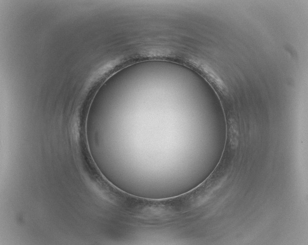 X0000116780631200912241143