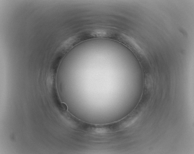 X0000116780645200912241143