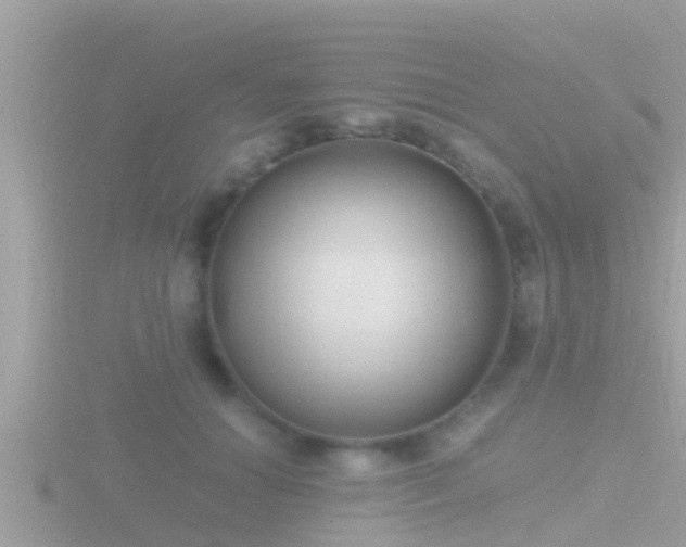 X0000116780654200912241143