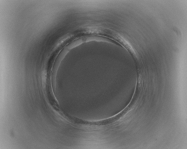 X0000116780722200912241142