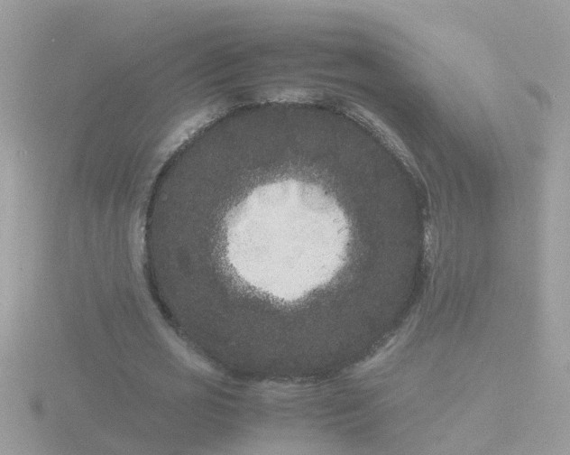 X0000116780725200912241142