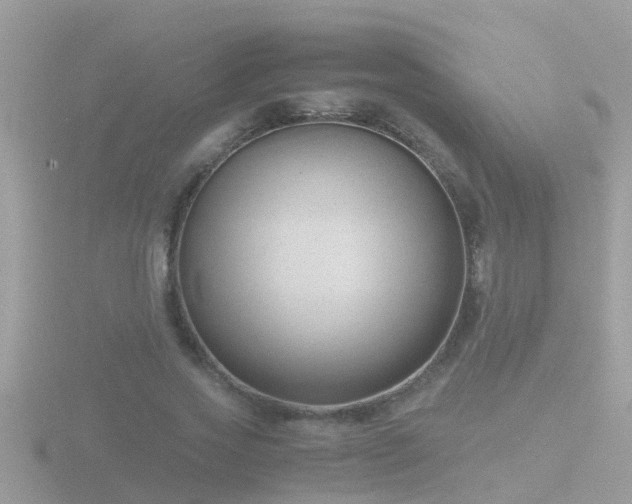 X0000116780733200912241142