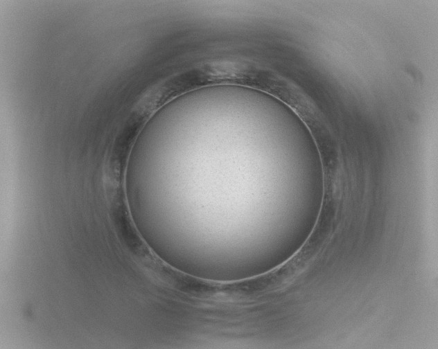 X0000116780737200912241142