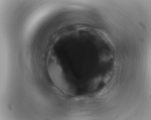 X0000116780763200912241142