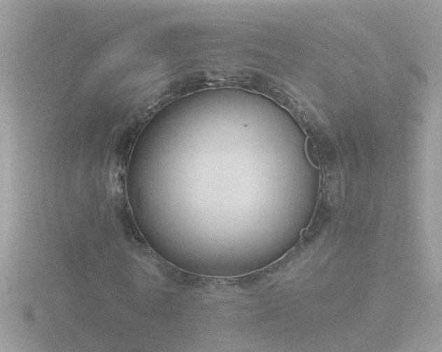 X0000116780770200912241142