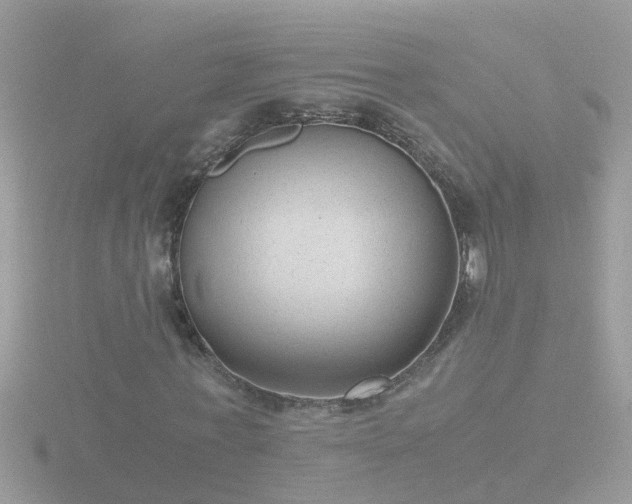 X0000116780771200912241142