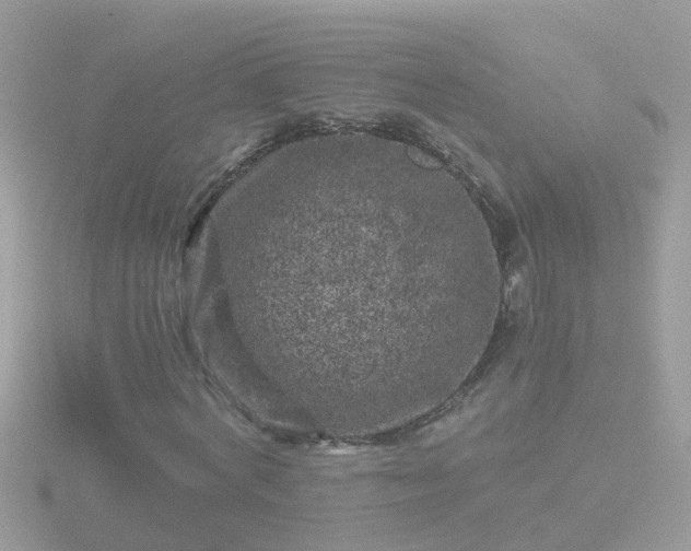 X0000116780772200912241141