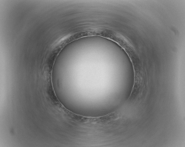 X0000116780773200912241141