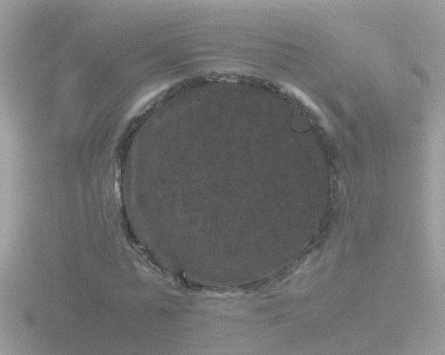 X0000116780775200912241141