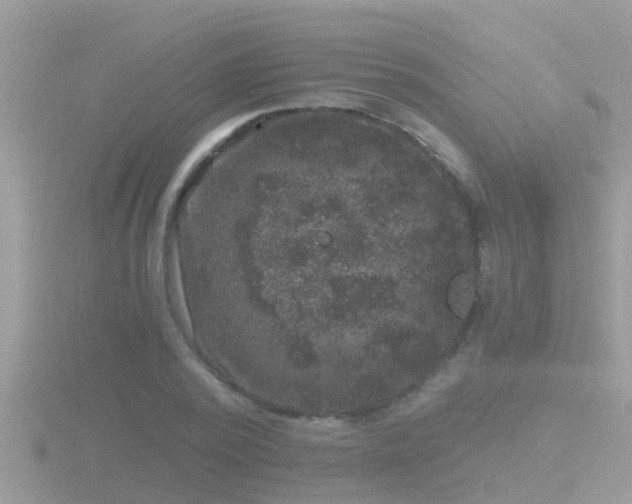 X0000116780784200912241141