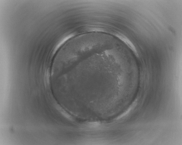 X0000116780798200912241141