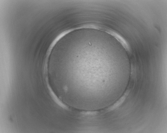 X0000116780808200912241141