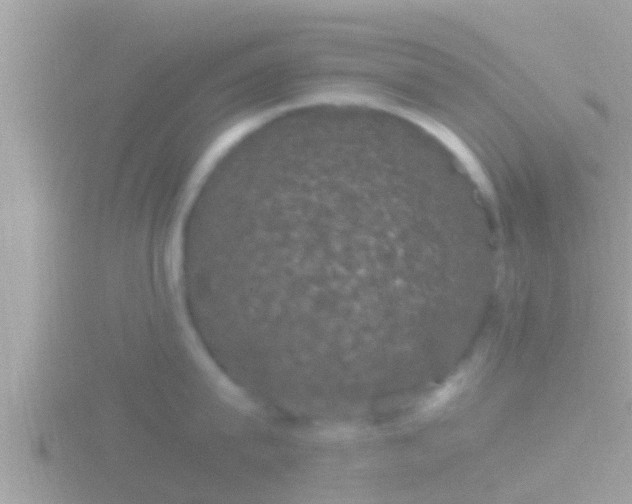 X0000116780815200912241141