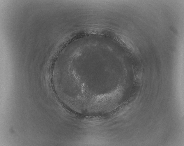 X0000116780817200912241140