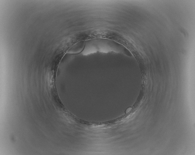 X0000116780818200912241140
