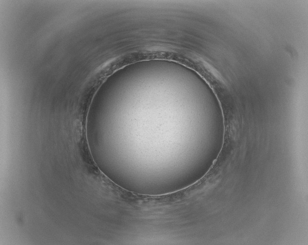 X0000116780821200912241140