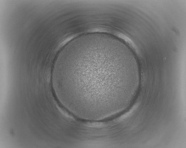 X0000116780833200912241141