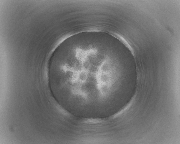 X0000116780835200912241141