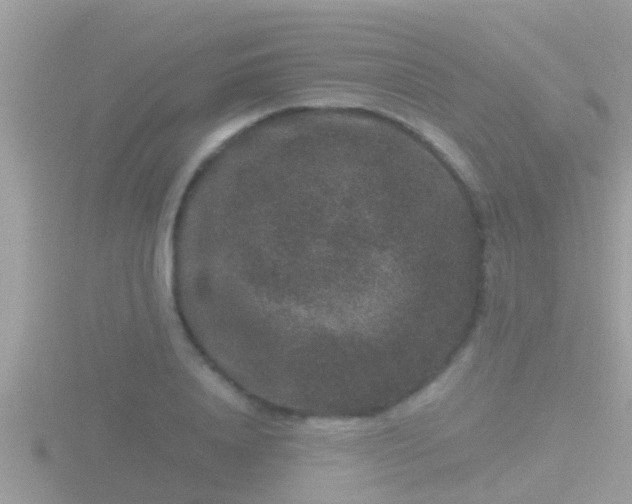 X0000116780840200912241141