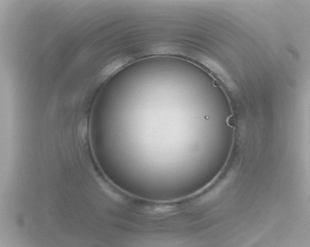 X0000116780841200912241141