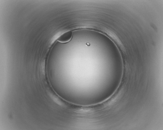 X0000116780842200912241141